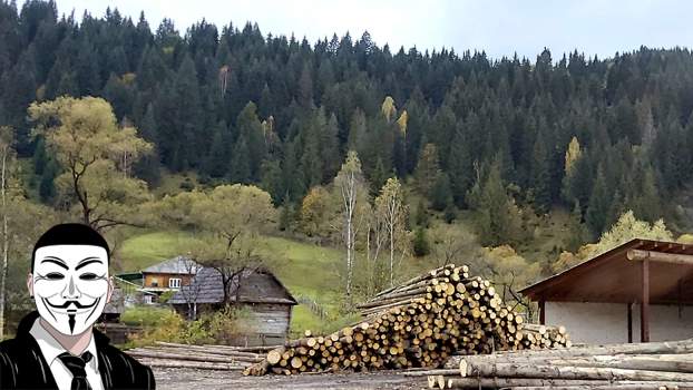 dm15 anonymous piatra neamt dm15