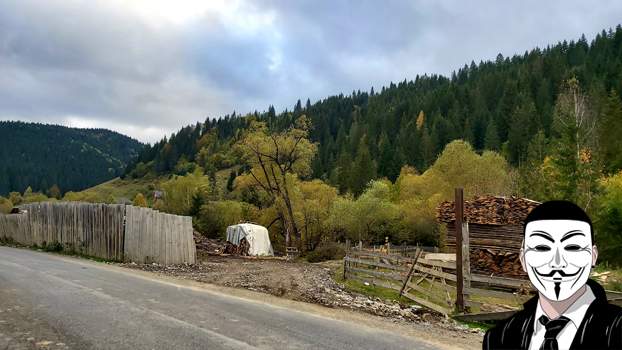 dm8 anonymous piatra neamt dm8