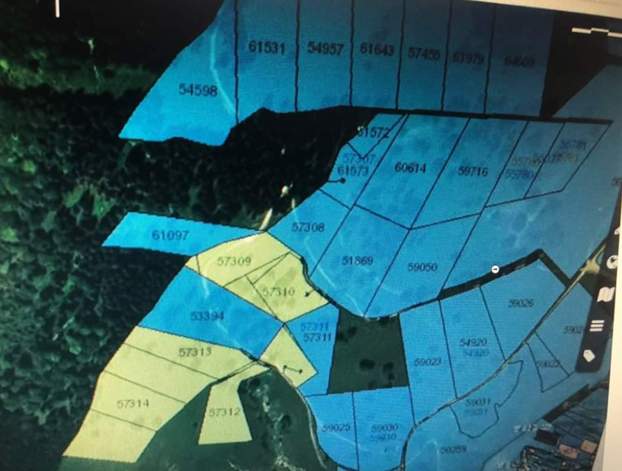 coruptie primaria piatra neamt 4 anonymous piatra neamt coruptie primaria piatra neamt 4