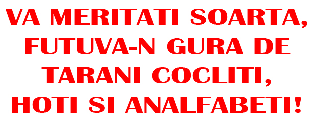 tr2 anonymous piatra neamt tr2