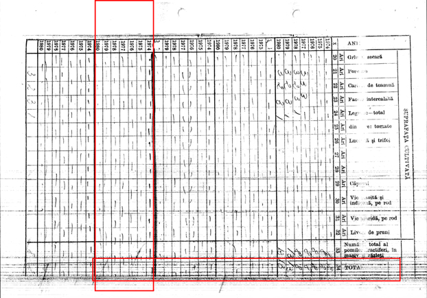 act 4x anonymous piatra neamt act 4x