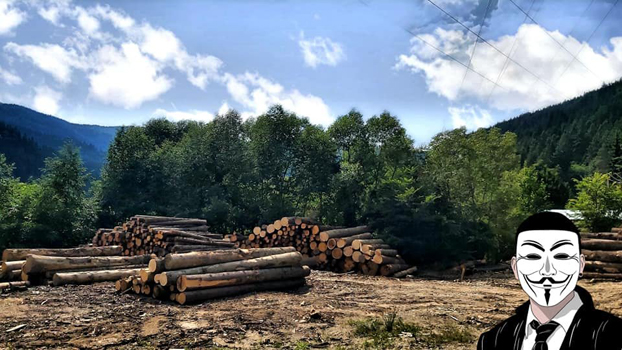 2 anonymous piatra neamt 2