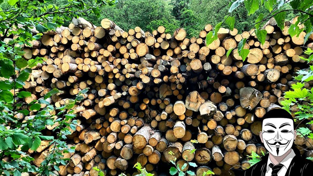 2 anonymous piatra neamt 2