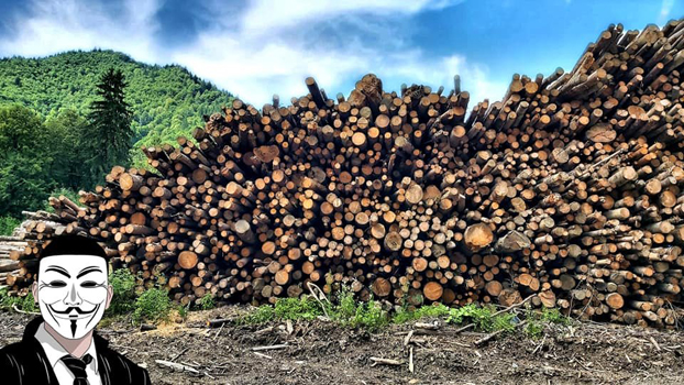 2 anonymous piatra neamt 2