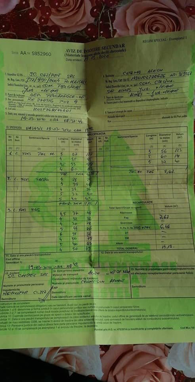 2 anonymous piatra neamt 2