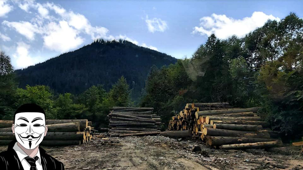 3 anonymous piatra neamt 3