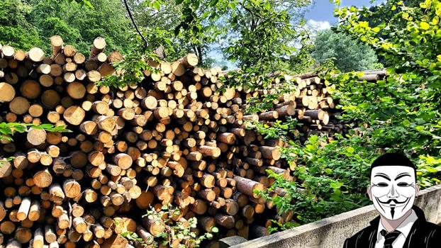 3 anonymous piatra neamt 3