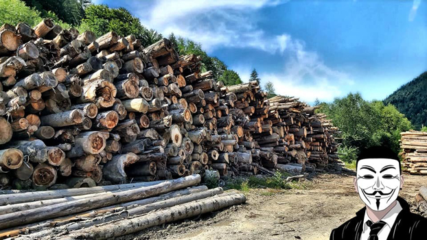 3 anonymous piatra neamt 3