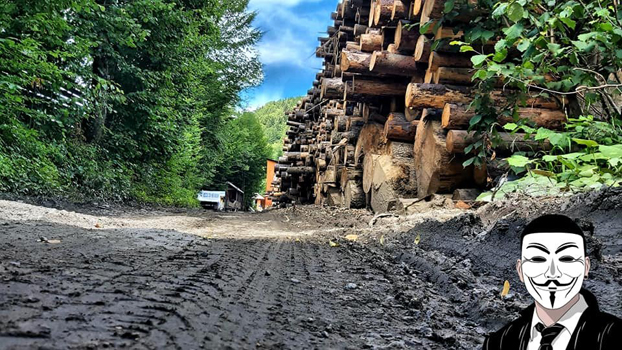 4 anonymous piatra neamt 4