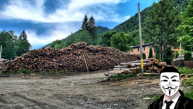 4 anonymous piatra neamt 4