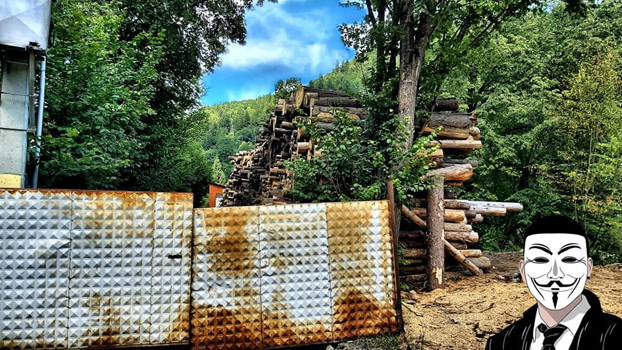 5 anonymous piatra neamt 5