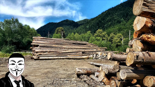 5 anonymous piatra neamt 5