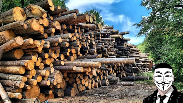 6 anonymous piatra neamt 6