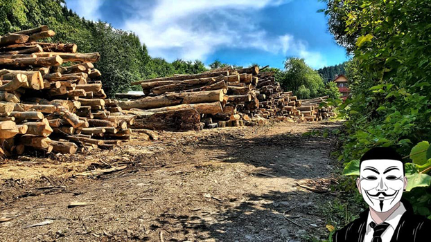 6 anonymous piatra neamt 6