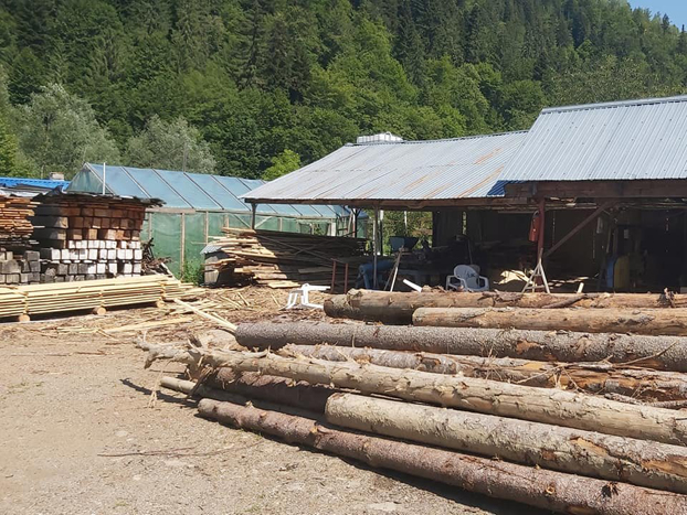 6 anonymous piatra neamt 6