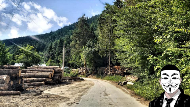 6 anonymous piatra neamt 6