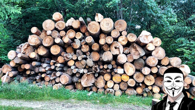 7 anonymous piatra neamt 7