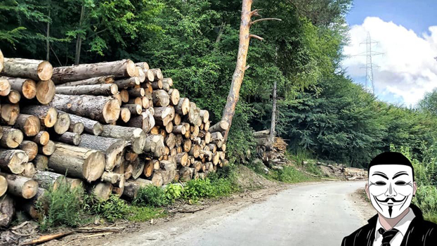 7 anonymous piatra neamt 7