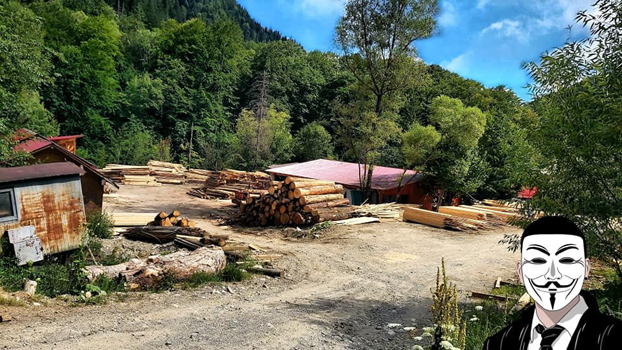 7 anonymous piatra neamt 7