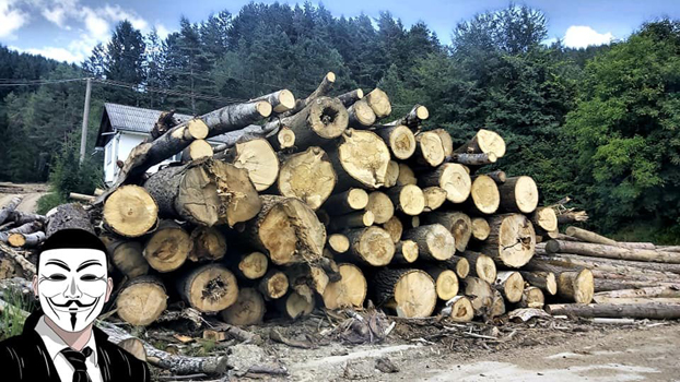 8 anonymous piatra neamt 8