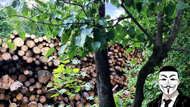 8 anonymous piatra neamt 8