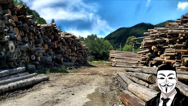 8 anonymous piatra neamt 8