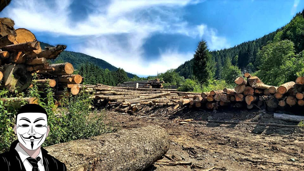 9 anonymous piatra neamt 9