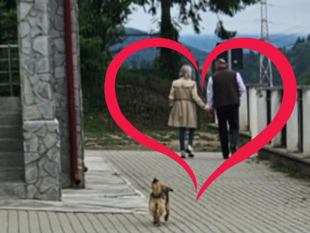 ana ancuta bogdan burla coruptie anonymous piatra neamt ana ancuta bogdan burla coruptie