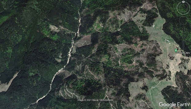 defrisare poiana teiului 2 anonymous piatra neamt defrisare poiana teiului 2