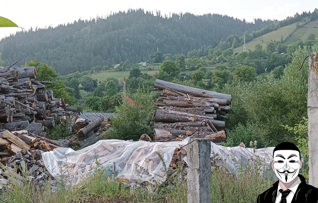 dep lemn furat poiana teiului gavrilut 2 anonymous piatra neamt dep lemn furat poiana teiului gavrilut 2