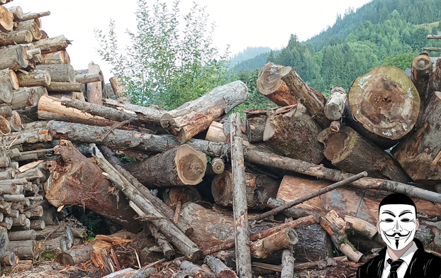 dep lemn furat poiana teiului gavrilut 5 anonymous piatra neamt dep lemn furat poiana teiului gavrilut 5