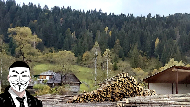 dm15 anonymous piatra neamt dm15