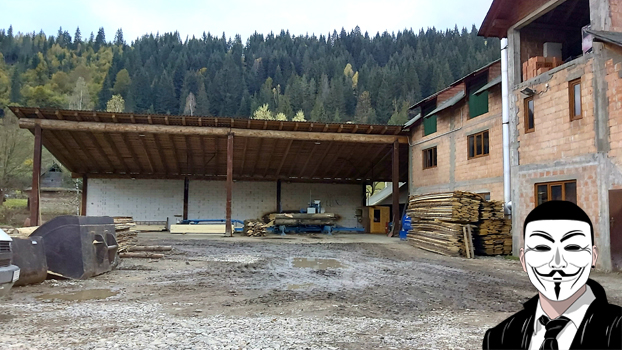 dm4 anonymous piatra neamt dm4