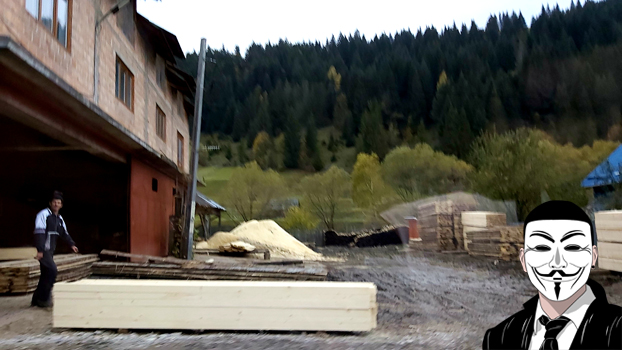 dm6 anonymous piatra neamt dm6