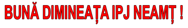 neata ipj anonymous piatra neamt neata ipj